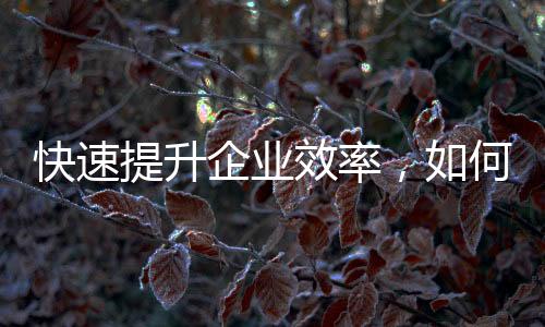 快速提升工作效率的利器——QuickQ让你事半功倍